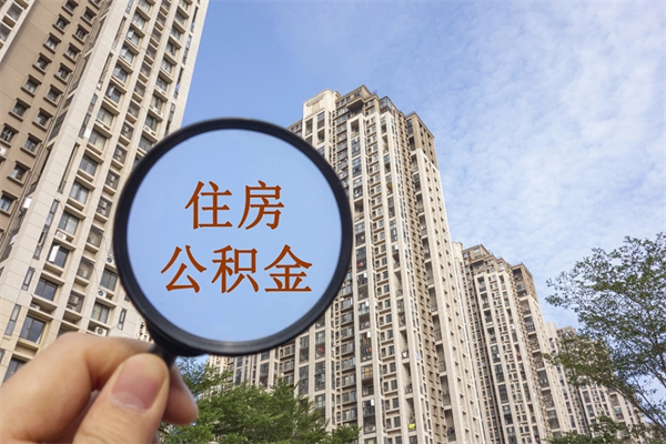 安吉离职可以取出公积金吗（离职可以取公积金嘛）